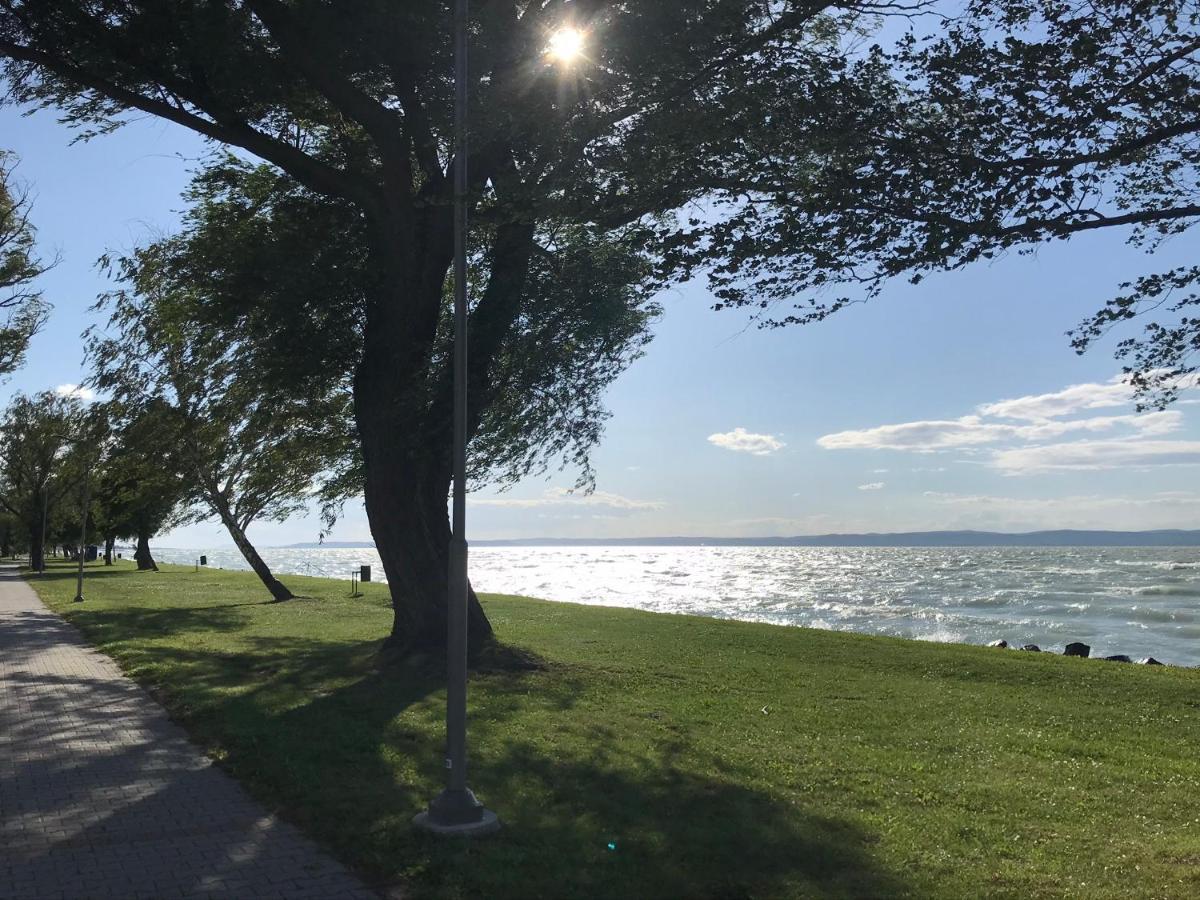 Balatonszabadi Fürdőtelep Retro Haz旅馆 外观 照片